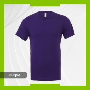 Bella+Canvas T-Shirt - Purple